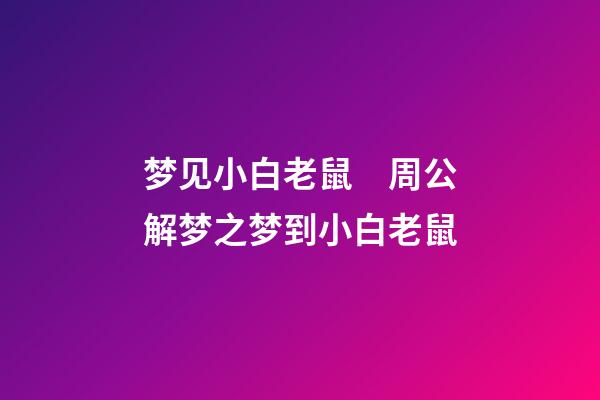 梦见小白老鼠　周公解梦之梦到小白老鼠